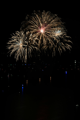Pháo hoa, pháo, firework, tết, lễ hội, festival, hình nền, background - Rino Adamo 10