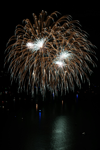 Pháo hoa, pháo, firework, tết, lễ hội, festival, hình nền, background - Rino Adamo 12