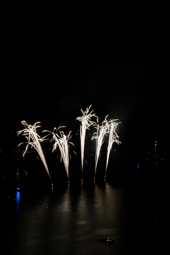 Pháo hoa, pháo, firework, tết, lễ hội, festival, hình nền, background - Rino Adamo 5