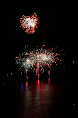 Pháo hoa, pháo, firework, tết, lễ hội, festival, hình nền, background - Rino Adamo 6