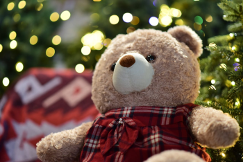 Gấu bông, trang trí, giáng sinh, dễ thương, teddy bear, decoration, christmas, cute- Sóc Năng Động 8