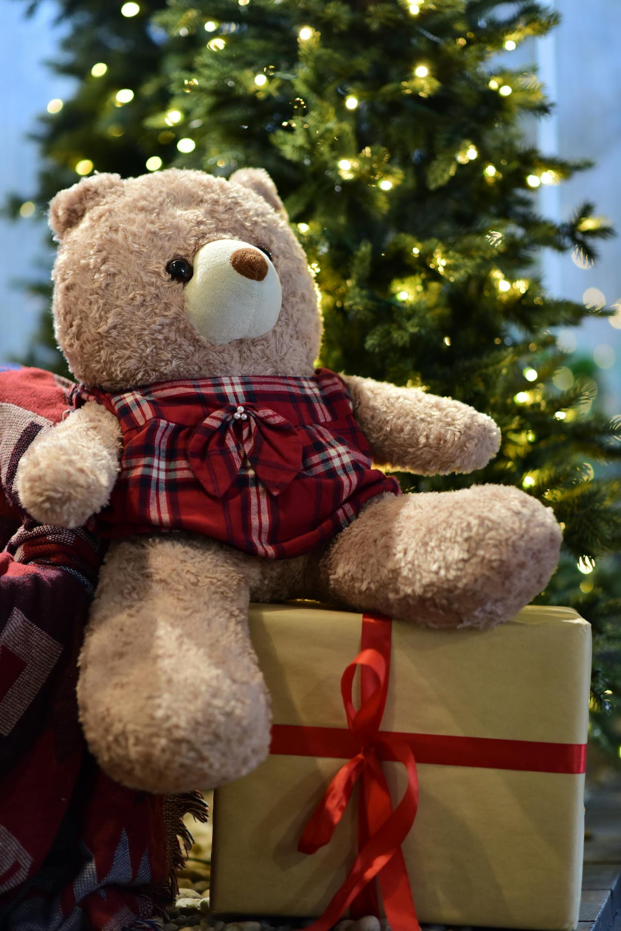 Gấu bông, trang trí, giáng sinh, dễ thương, teddy bear, decoration, christmas, cute- Sóc Năng Động 9