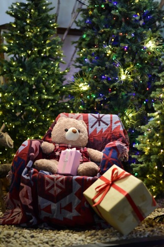 Gấu bông, trang trí, giáng sinh, dễ thương, teddy bear, decoration, christmas, cute- Sóc Năng Động 5