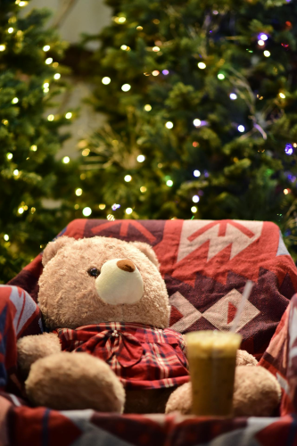 Gấu bông, trang trí, giáng sinh, dễ thương, teddy bear, decoration, christmas, cute- Sóc Năng Động 7
