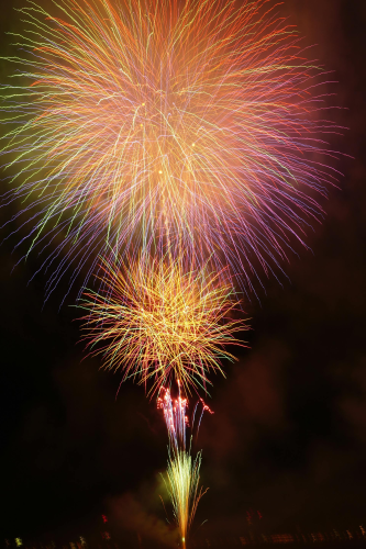 Pháo hoa, pháo, firework, tết, lễ hội, festival, hình nền, background - Rino Adamo 50