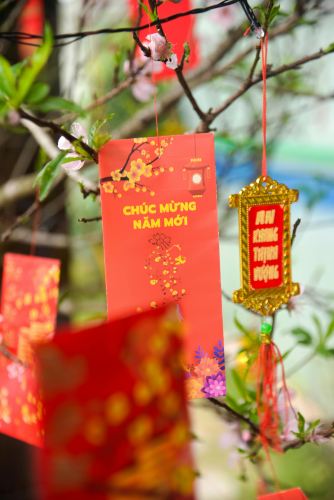 Lộc treo chúc Tết, thư pháp, bao lì xì, lucky money, Tết, xuân, Việt Nam, srping - Duy Nguyen 14
