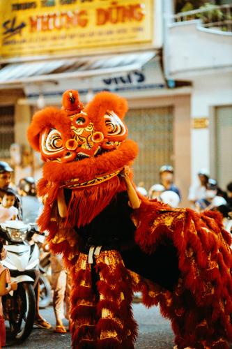 Múa lân, lễ hội, festival, Tết, Tết holiday, văn hóa - HONG SON 5