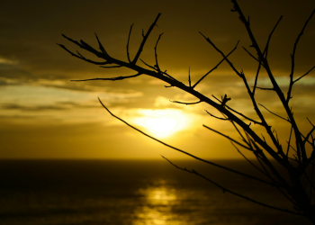 Hoàng hôn, bình minh, sông, biển, trời, sunset, sunrise, river, sea, sky- Tuan Vy