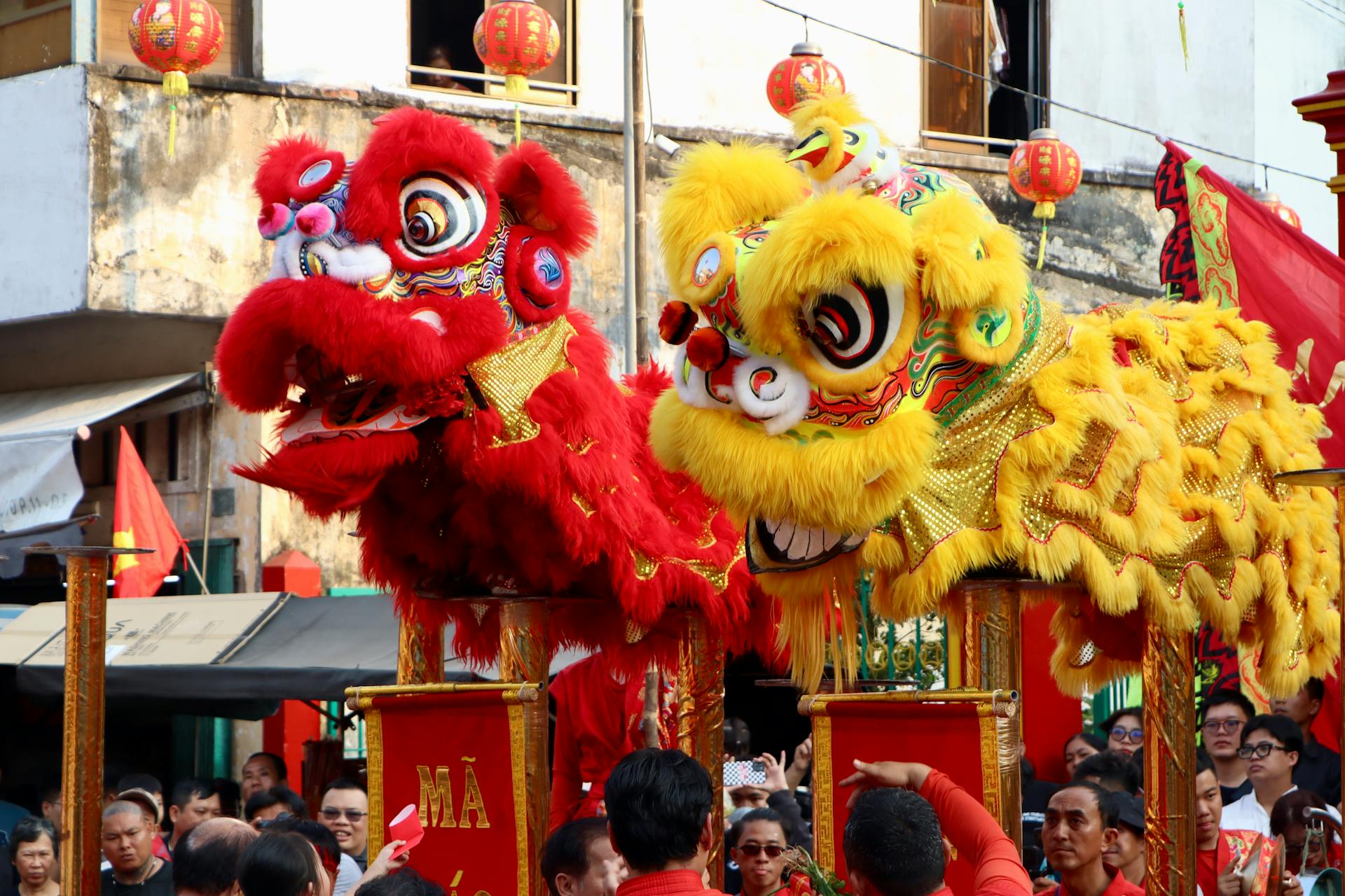 Múa lân, lễ hội, festival, Tết, Tết holiday, văn hóa - HONG SON 3