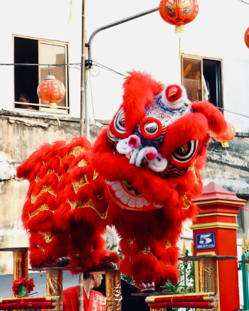 Lân, múa lâ, unicorn, unicorn dance, Tết, Tết Nguyên Đán, window, curtain, Tet, Lunar New Year - Tuan Vy 1