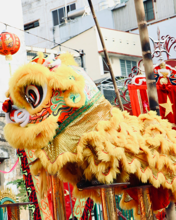 Múa lân, lễ hội, festival, Tết, Tết holiday, văn hóa - HONG SON 15
