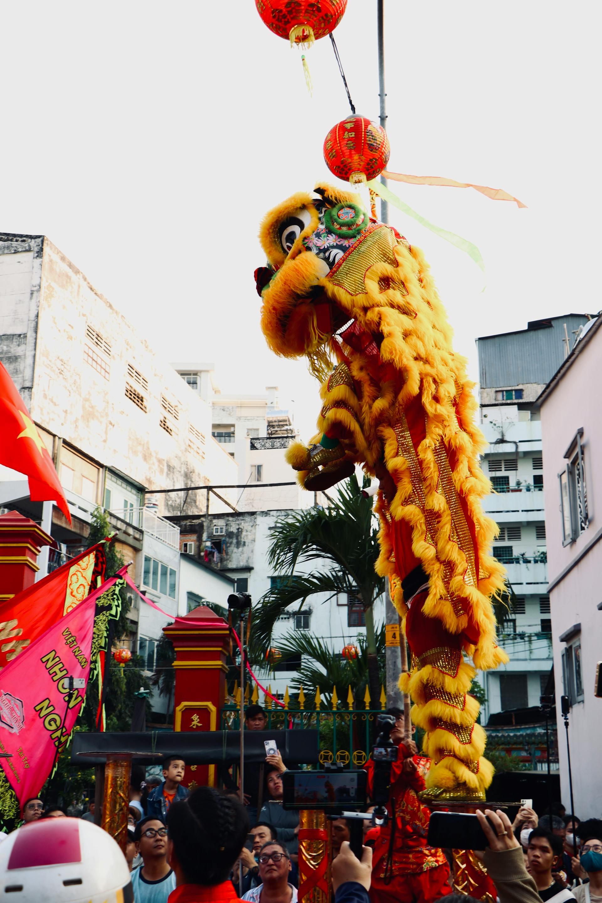 Lân, múa lâ, unicorn, unicorn dance, Tết, Tết Nguyên Đán, window, curtain, Tet, Lunar New Year - Tuan Vy 2