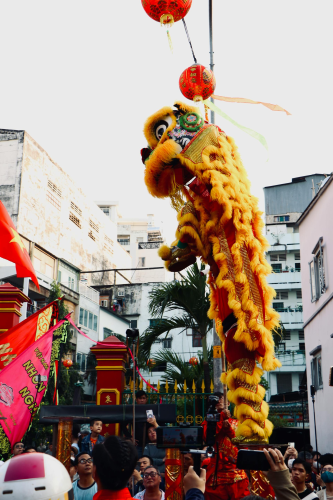 Lân, múa lâ, unicorn, unicorn dance, Tết, Tết Nguyên Đán, window, curtain, Tet, Lunar New Year - Tuan Vy 2