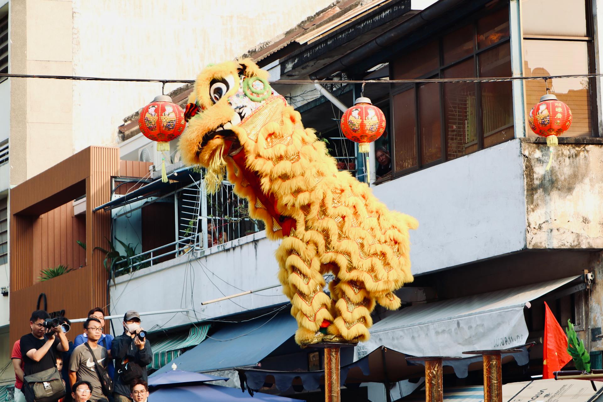 Lân, múa lâ, unicorn, unicorn dance, Tết, Tết Nguyên Đán, window, curtain, Tet, Lunar New Year - Tuan Vy 3