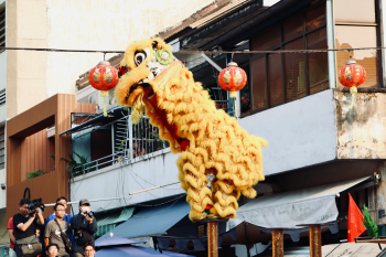 Lân, múa lâ, unicorn, unicorn dance, Tết, Tết Nguyên Đán, window, curtain, Tet, Lunar New Year - Tuan Vy 3