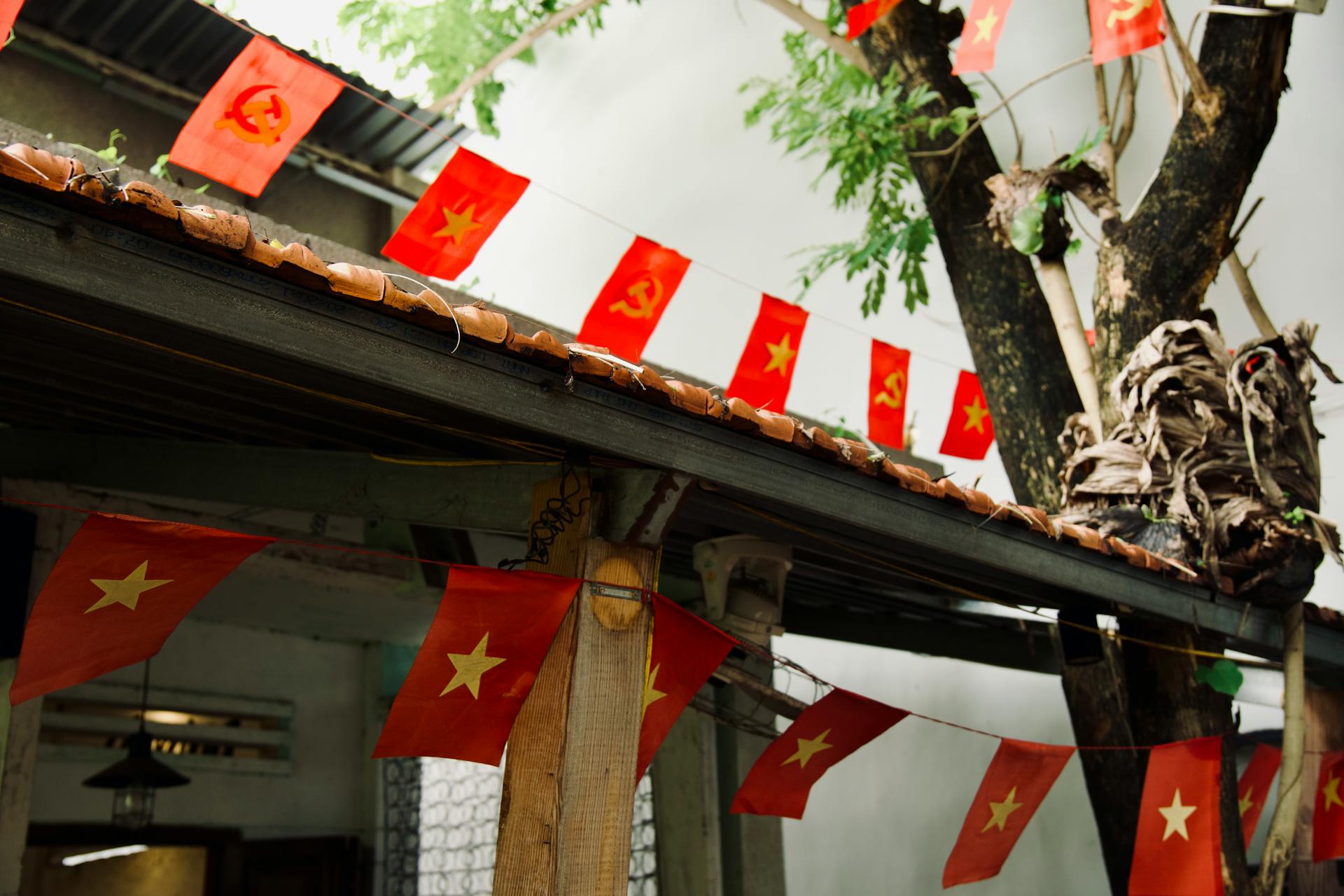 Cờ, lá cờ, cờ Việt, nhà, flag, Vietnamese flag, house - Tuan Vy
