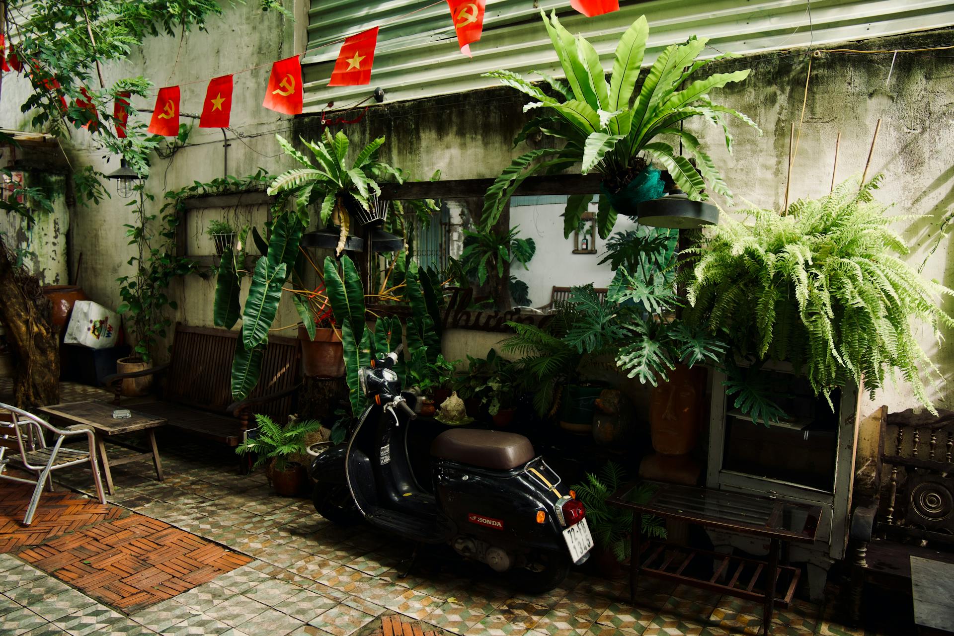 Cờ, lá cờ, cờ Việt, nhà, flag, Vietnamese flag, house - Tuan Vy