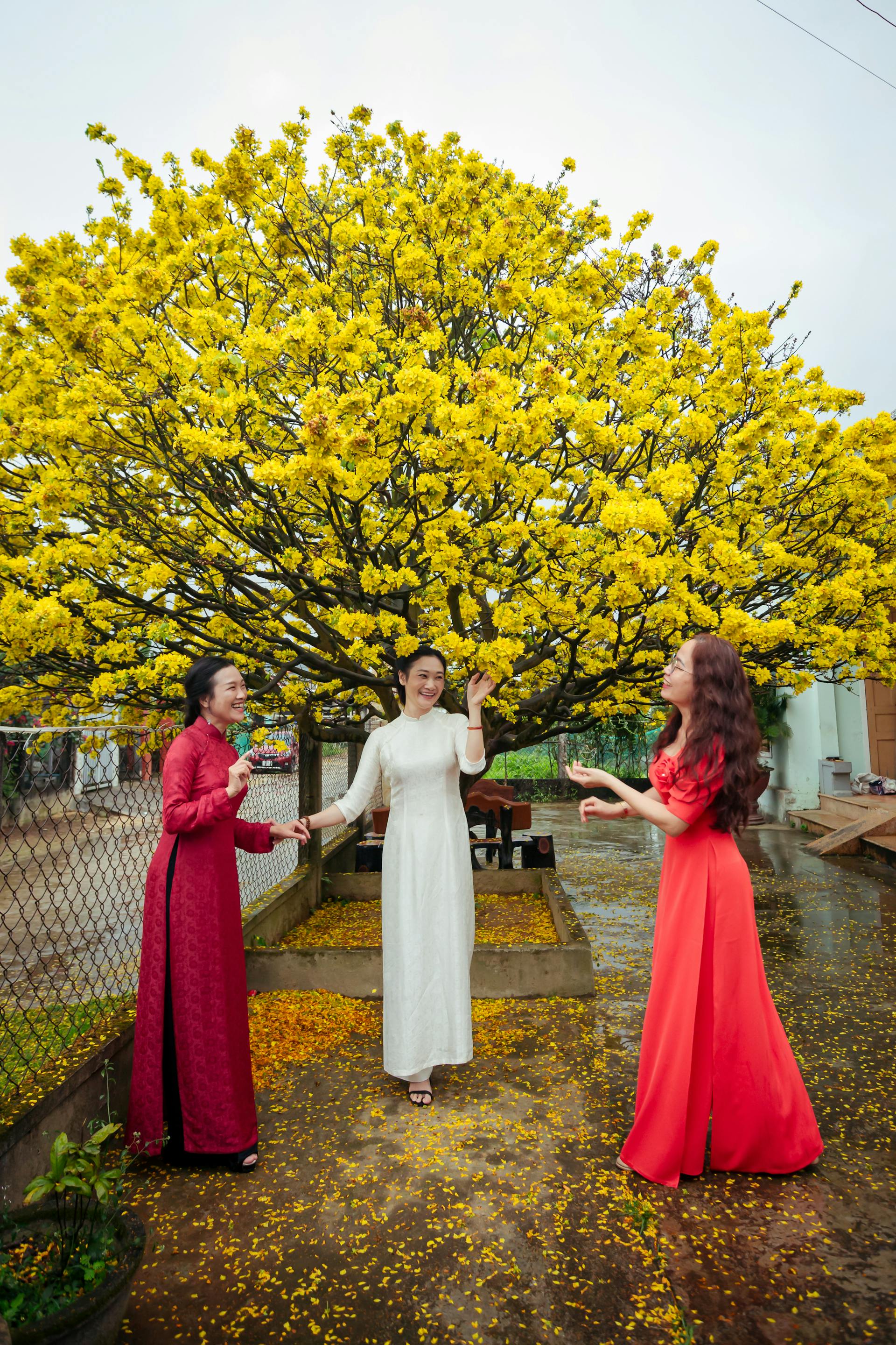 Cô gái, nữ, áo dài, tết, girl, women, ao dai, Tet- Võ Văn Tiến 2