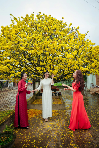 Cô gái, nữ, áo dài, tết, girl, women, ao dai, Tet- Võ Văn Tiến 2