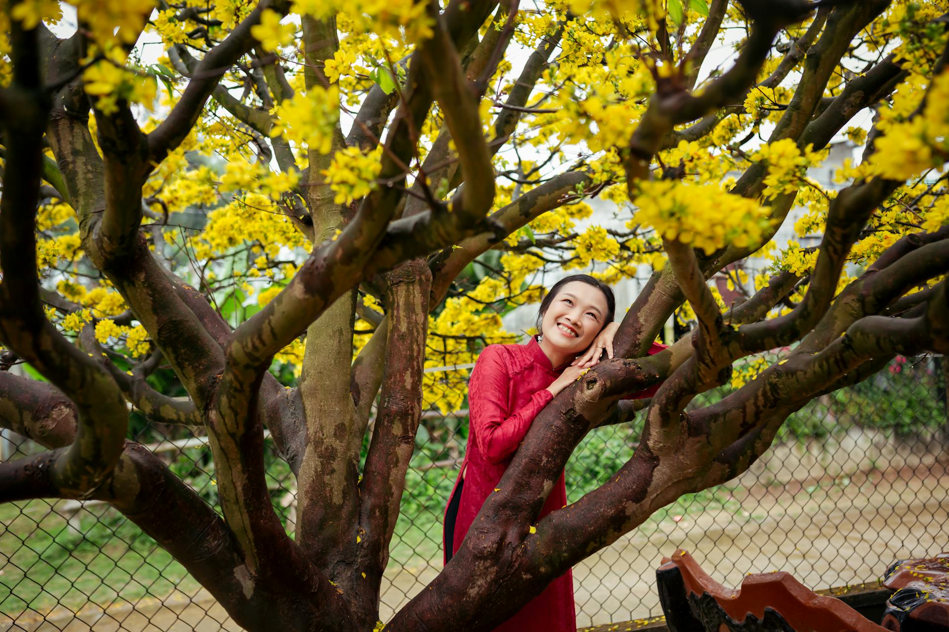 Cô gái, nữ, áo dài, tết, girl, women, ao dai, Tet- Võ Văn Tiến 6