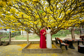 Cô gái, nữ, áo dài, tết, girl, women, ao dai, Tet- Võ Văn Tiến 1