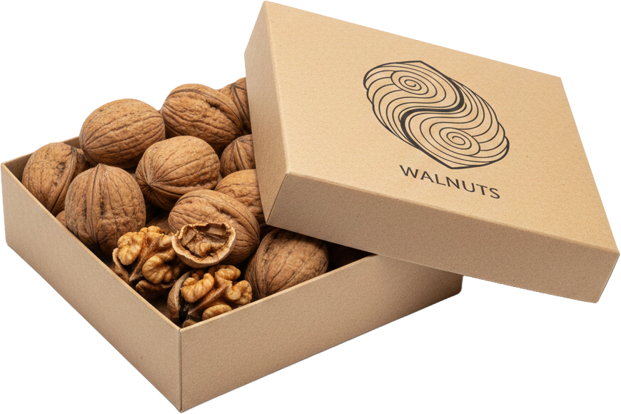 Quả óc chó, hạt, thực phẩm, hộp giấy, màu nâu, tự nhiên, bao bì, walnut, nut, food, paper box, brown, natural, packaging