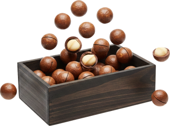 Hạt mắc ca, hạt, hộp gỗ, rơi, thực phẩm, ăn vặt, vỏ nâu, nhân trắng, macadamia, nut, wooden box, falling, food, snack, brown shell, white kernel
