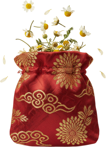 Hoa cúc khô, túi gấm đỏ, họa tiết vân mây, thảo mộc, trà hoa, tết, quà tặng, Chamomile bag, dried chamomile, red silk bag, cloud pattern, herbal, flower tea, lunar new year, gift