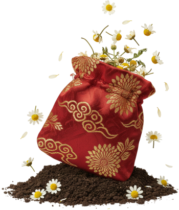 Hoa cúc khô, túi gấm đỏ, đống đất, thảo mộc, trà hoa, tết, trang trí, Chamomile bag, dried chamomile, red silk bag, soil pile, herbal, flower tea, lunar new year, decoration