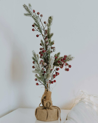 Bình hoa, bình giáng sinh, trang trí, cành thông, Vase, christmas vase, decoration, pine branch -  lil artsy