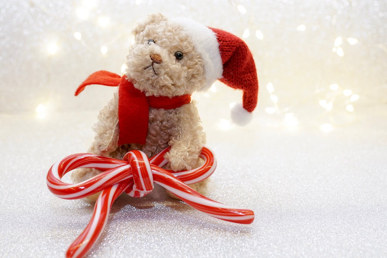 Gấu bông, trang trí, giáng sinh, dễ thương, teddy bear, decoration, christmas, cute- Susanne Jutzeler, suju-foto