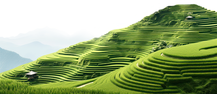 Ruộng, ruộng bậc thang, terraced fields