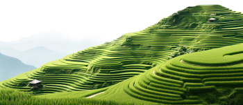 Ruộng, ruộng bậc thang, terraced fields