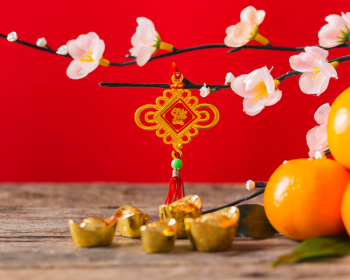 Hoa đào, cherry blossom, flower, tết, xuân, spring, truyền thống, Việt Nam, hình nền, background 6