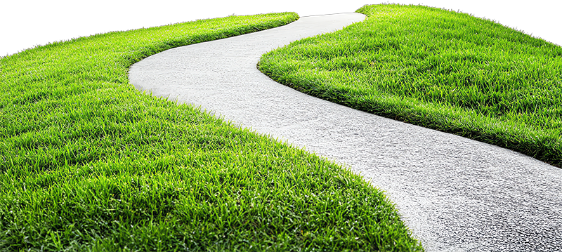 Cỏ, con đường, con đường cỏ, road grass, grass, road wave