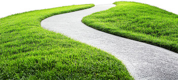 Cỏ, con đường, con đường cỏ, road grass, grass, road wave