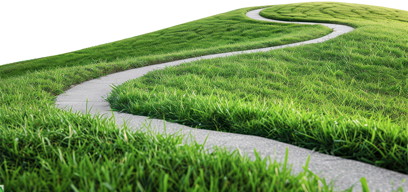 Cỏ, con đường, con đường cỏ, road grass, grass, road wave