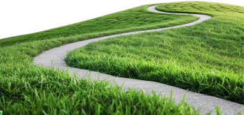 Cỏ, con đường, con đường cỏ, road grass, grass, road wave
