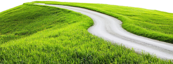 Cỏ, con đường, con đường cỏ, road grass, grass, road wave