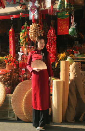Áo dài, áo dài Việt Nam, áo dài màu đỏ, con gái, girl, truyền thống, tết, xuân, spring, Việt Nam - Bùi Hoàng Long 2