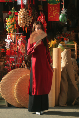 Áo dài, áo dài Việt Nam, áo dài màu đỏ, con gái, girl, truyền thống, tết, xuân, spring, Việt Nam - Bùi Hoàng Long