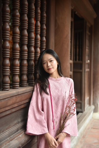 Áo dài, áo dài Việt Nam, áo dài màu hồng, con gái, girl, truyền thống, tết, xuân, spring, Việt Nam - Felix young 10