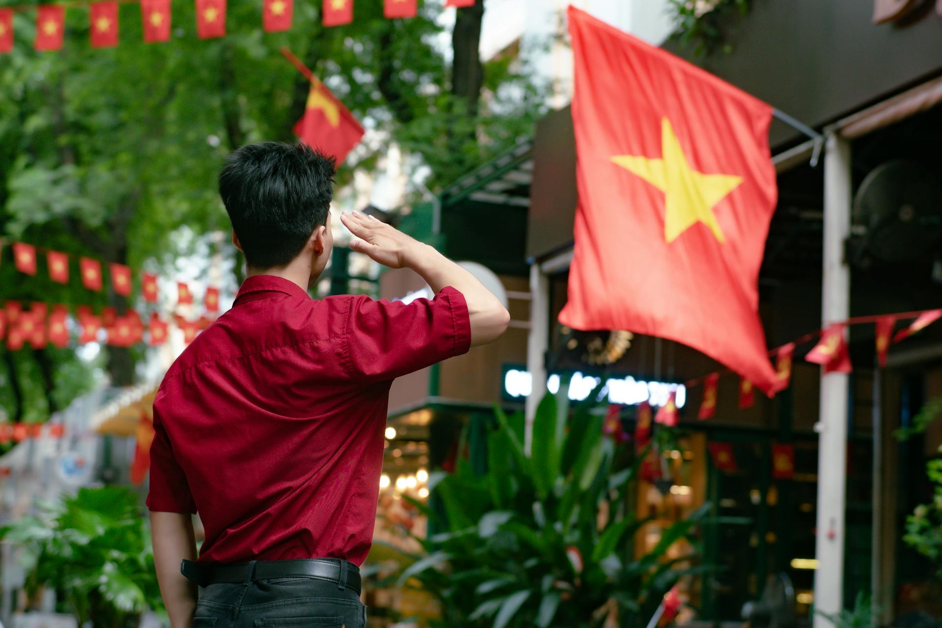 Lá cờ Việt Nam, lá cờ, cờ đỏ sao vàng, flag, con trai, boy, nam, Việt Nam - Khánh Hưng Trần Võ