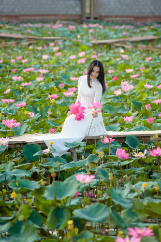 Áo dài, áo dài Việt Nam, áo dài màu trắng, con gái, girl, truyền thống, Việt Nam - Võ Văn Tiến 7