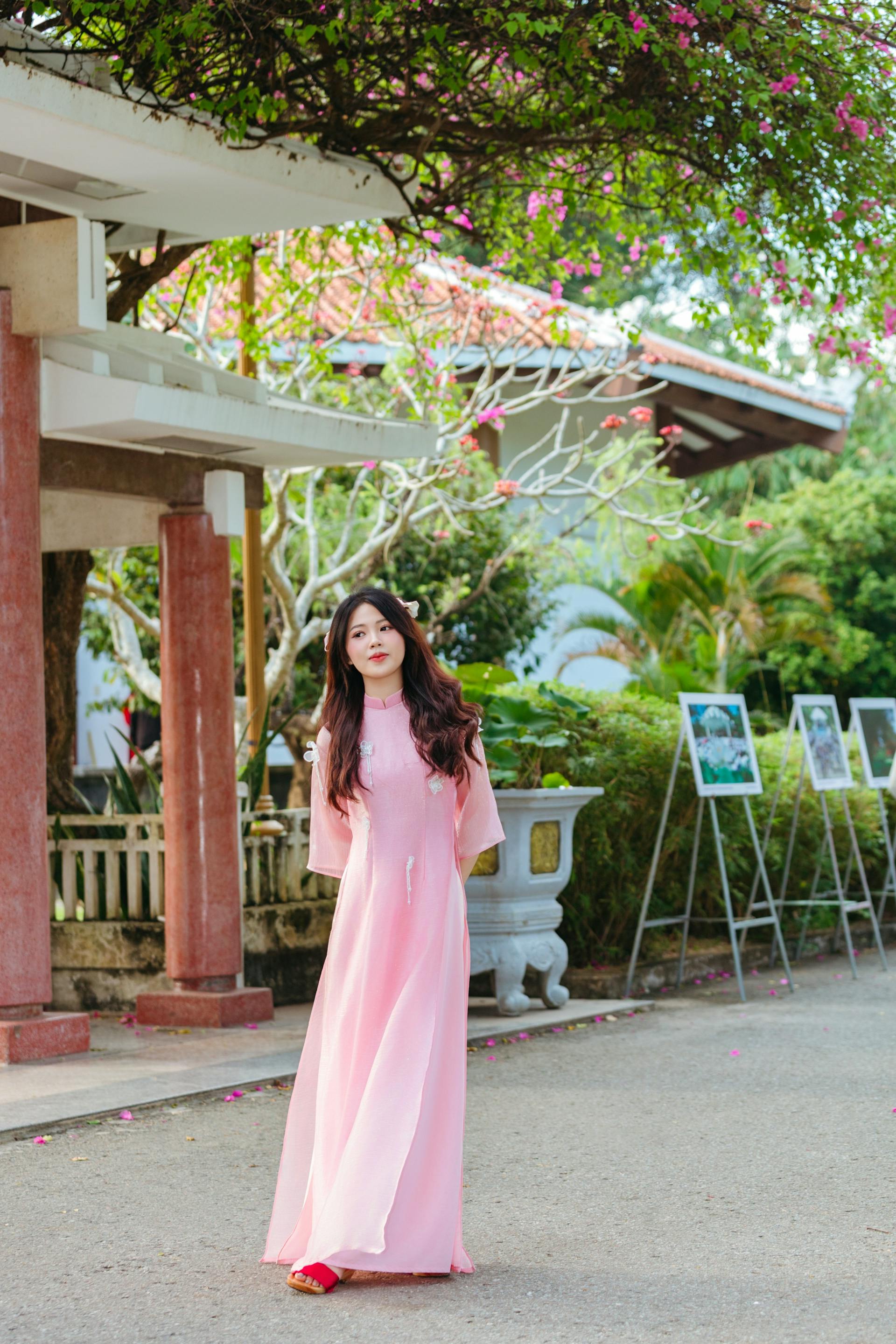 Áo dài hồng, áo dài, tết, xuân, cô gái, con gái ôm hoa, hoa, flower, girl - Sơn Ngọc 5