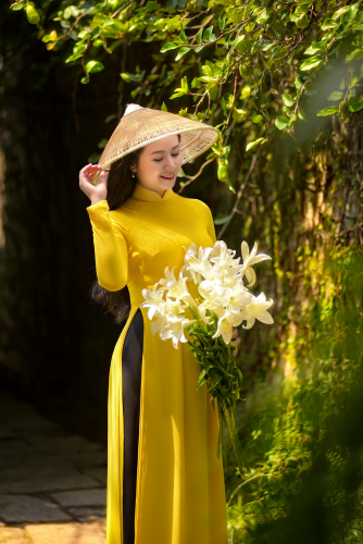 Áo dài, áo dài Việt Nam, áo dài màu vàng, con gái, girl, truyền thống, Việt Nam - Sang Tran 1