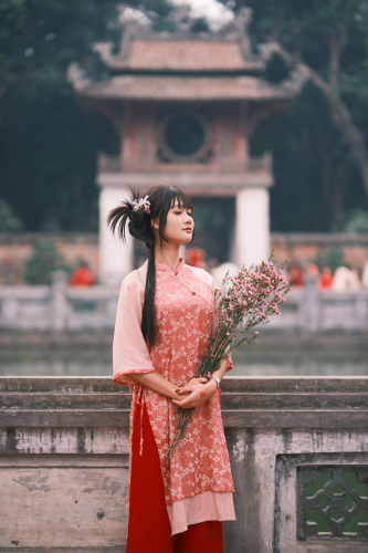 Áo dài, áo dài Việt Nam, áo dài cách tân, con gái, girl, truyền thống, Việt Nam - TBD Tuyên