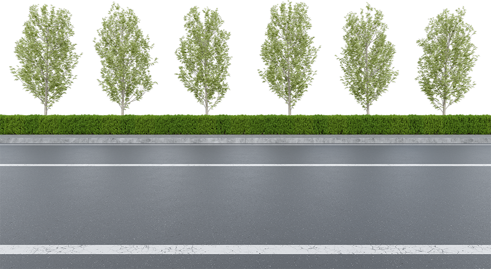 Đường nhựa, đường, đường đi, road, con đường