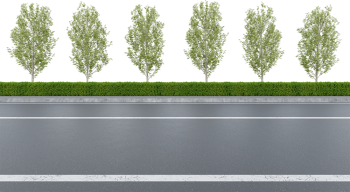 Đường nhựa, đường, đường đi, road, con đường