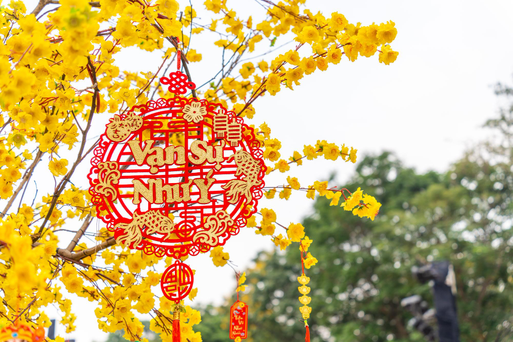 Hoa mai, tag treo tết, trang trí tết, không khí tết, tết nguyên đán, Apricot blossoms, New Year's hanging tags, New Year's decorations, New Year's atmosphere, Lunar New Year - fedesign92 3